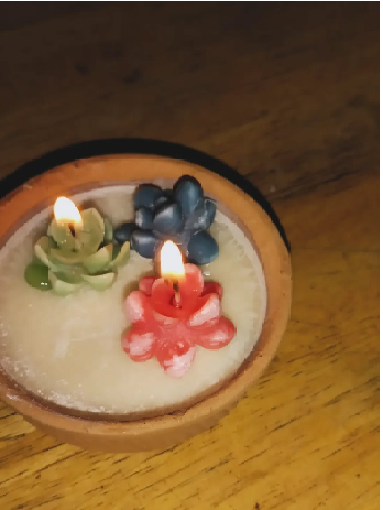 Ambrozia pond tealights(2)